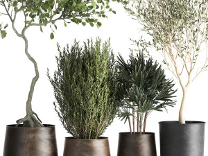 houseplants in a flowerpot for the interior 1030 3D Model