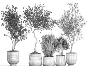 houseplants in a flowerpot for the interior 1030 3D Model