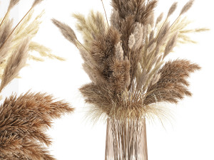 bouquet of dried white reeds in a vase 146 3D Model