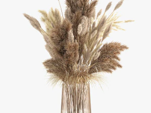 bouquet of dried white reeds in a vase 146 3D Model