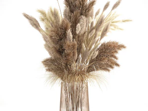 bouquet of dried white reeds in a vase 146 3D Model