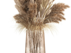 bouquet of dried white reeds in a vase 146 Modello 3D
