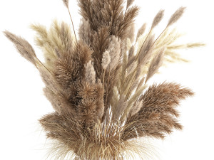 bouquet of dried white reeds in a vase 146 Modello 3D