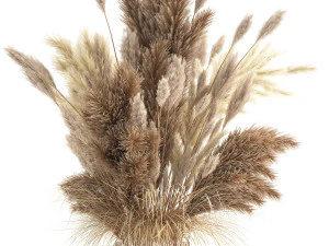 bouquet of dried white reeds in a vase 146 3D Model