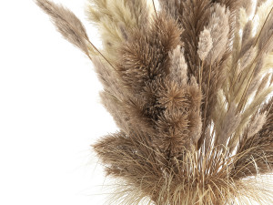 bouquet of dried white reeds in a vase 146 Modello 3D