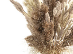 bouquet of dried white reeds in a vase 146 3D Model