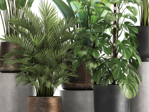 houseplants in a flowerpot for the interior 1031 3D Model