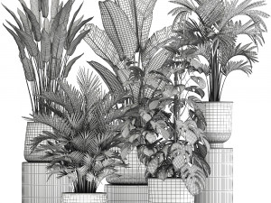 houseplants in a flowerpot for the interior 1031 3D Model