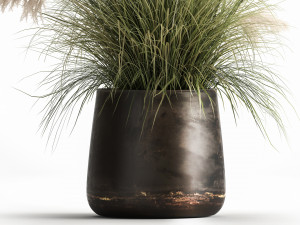 white reeds in a rusty flowerpot for the interior 1032 Model 3D