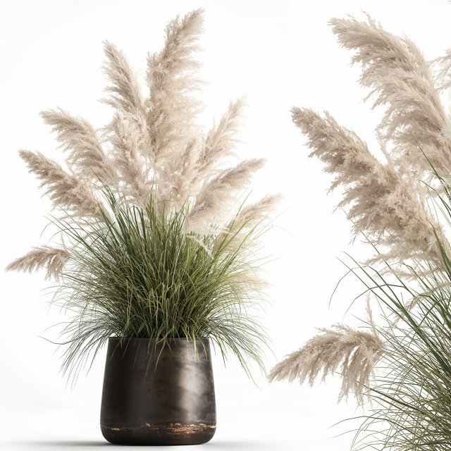 white reeds in a rusty flowerpot for the interior 1032 Model 3D .c4d .max .obj .3ds .fbx .stl .blend 