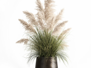 white reeds in a rusty flowerpot for the interior 1032 Model 3D