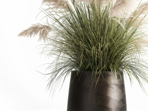 white reeds in a rusty flowerpot for the interior 1032 Model 3D
