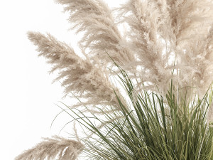 white reeds in a rusty flowerpot for the interior 1032 Model 3D