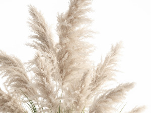 white reeds in a rusty flowerpot for the interior 1032 Model 3D