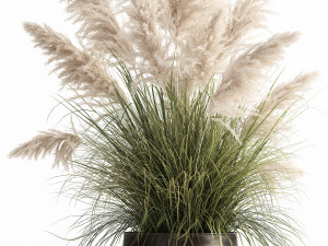 white reeds in a rusty flowerpot for the interior 1032 Model 3D