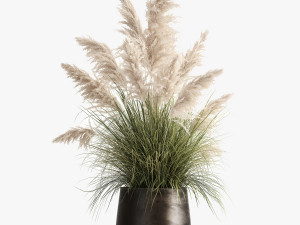 white reeds in a rusty flowerpot for the interior 1032 Model 3D