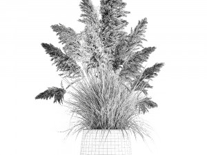 white reeds in a rusty flowerpot for the interior 1032 Model 3D