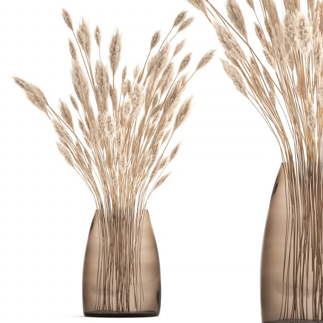 bouquet of dried white reeds in a vase 149 3D Модель .c4d .max .obj .3ds .fbx .stl .blend