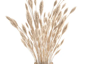 bouquet of dried white reeds in a vase 149 3D Model