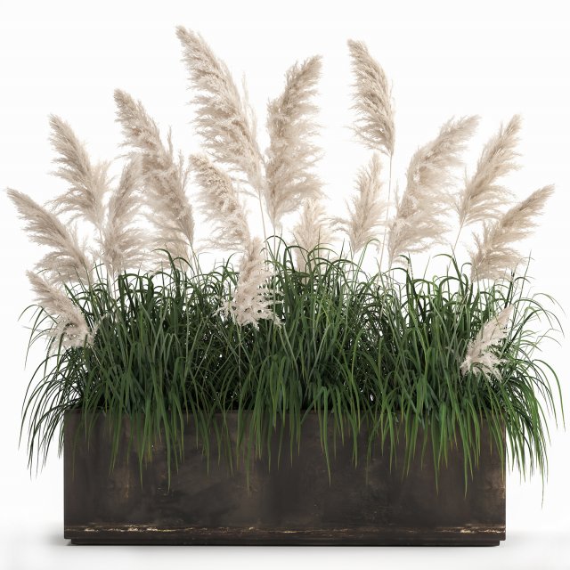 white reeds in a rusty flowerpot for the interior 1033 3D Модель .c4d .max .obj .3ds .fbx .stl .blend 
