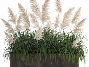 white reeds in a rusty flowerpot for the interior 1033 3D Model