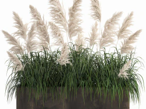 juncos brancos em um vaso enferrujado para o interior 1033 Modelo 3D