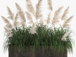 white reeds in a rusty flowerpot for the interior 1033 3D Модель