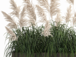 white reeds in a rusty flowerpot for the interior 1033 3D Модель