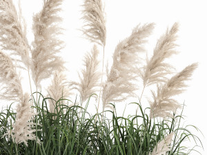 white reeds in a rusty flowerpot for the interior 1033 3D Модель