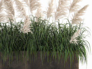 white reeds in a rusty flowerpot for the interior 1033 3D Модель