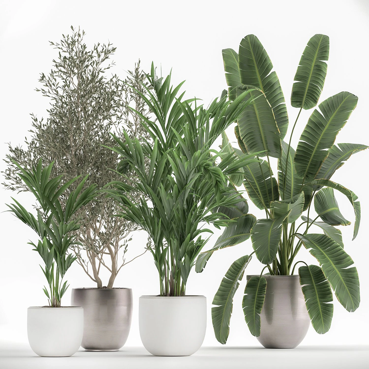 houseplants in a flowerpot for the interior 1034 3D Model .c4d .max .obj .3ds .fbx .stl .blend 