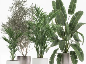 plantas de casa em vaso para o interior 1034 Modelo 3D