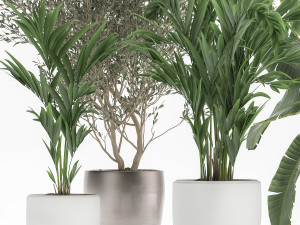 houseplants in a flowerpot for the interior 1034 3D 모델
