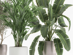 houseplants in a flowerpot for the interior 1034 3D 모델