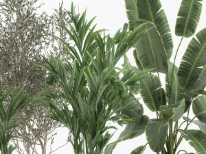 houseplants in a flowerpot for the interior 1034 3D 모델
