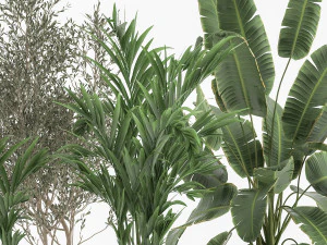 houseplants in a flowerpot for the interior 1034 3D Model