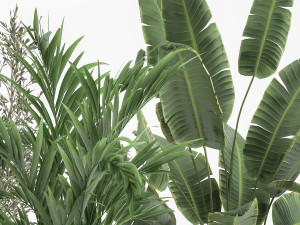 houseplants in a flowerpot for the interior 1034 3D 모델