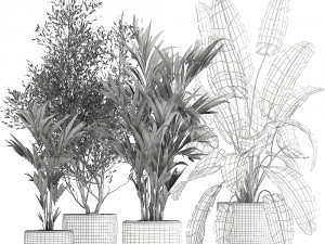 houseplants in a flowerpot for the interior 1034 3D 모델