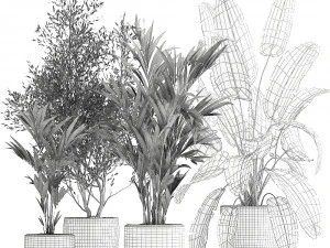 houseplants in a flowerpot for the interior 1034 3D Model