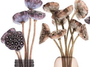 bouquet of dried flowers in a glass vase 152 3D Model