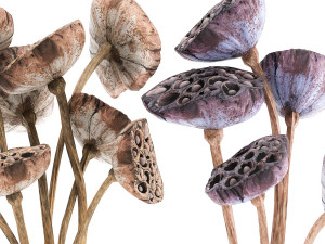 bouquet of dried flowers in a glass vase 152 Modelo 3D