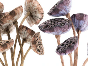 bouquet of dried flowers in a glass vase 152 3D Model