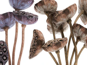 bouquet of dried flowers in a glass vase 152 3D Model
