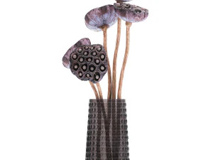 bouquet of dried flowers in a glass vase 152 3D Model