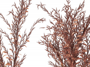 bouquet of dried flowers in a glass vase 153 Modelo 3D