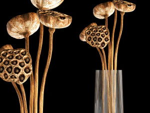 bouquet de fleurs séchées dans un vase en verre 154 Modèle 3D