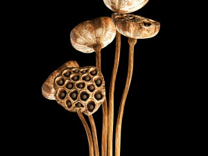 bouquet of dried flowers in a glass vase 154 3D Model