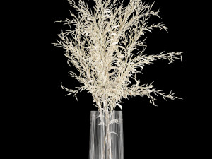 bouquet of dried white flowers in a glass vase 155 3D Model
