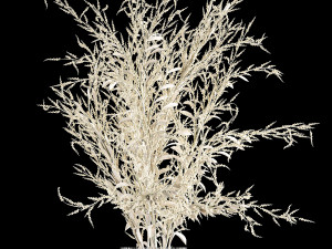 bouquet of dried white flowers in a glass vase 155 3D Model