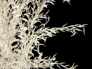 bouquet of dried white flowers in a glass vase 155 3D Model
